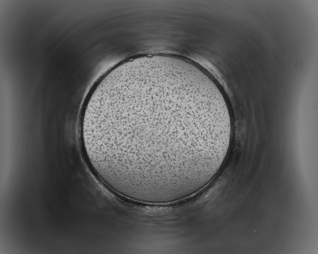 X0000086891285200705071215