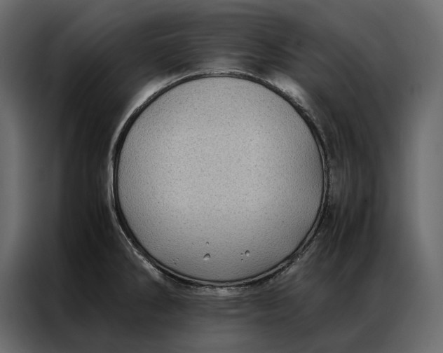 X0000086891286200705071215