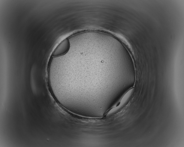 X0000086891287200705071215