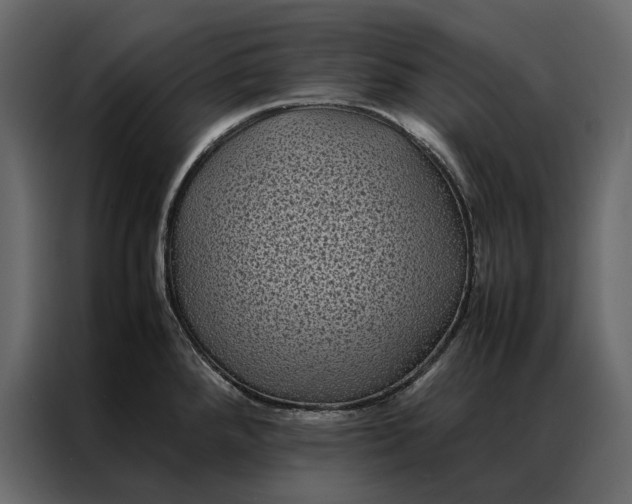 X0000086891288200705071215