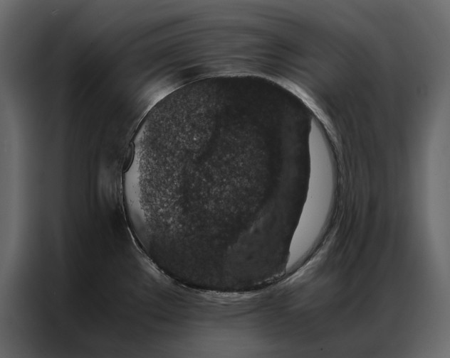 X0000086891289200705071215