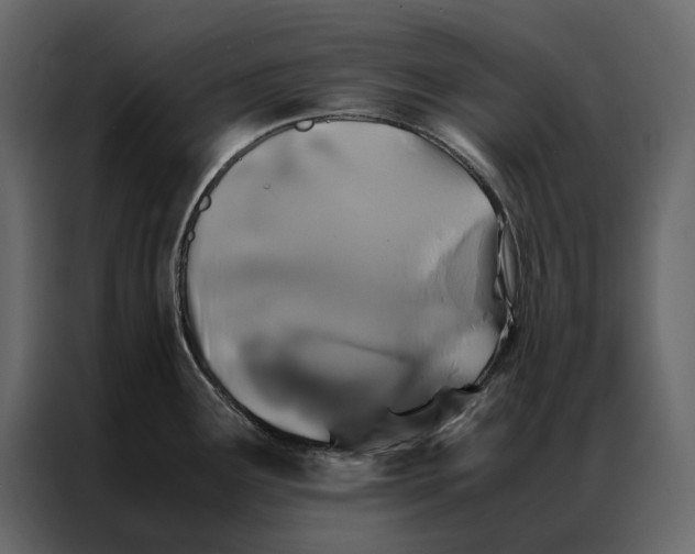 X0000086891291200705071215