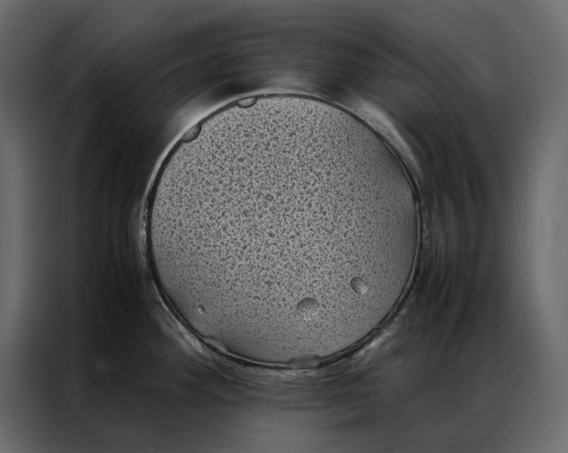 X0000086891292200705071215