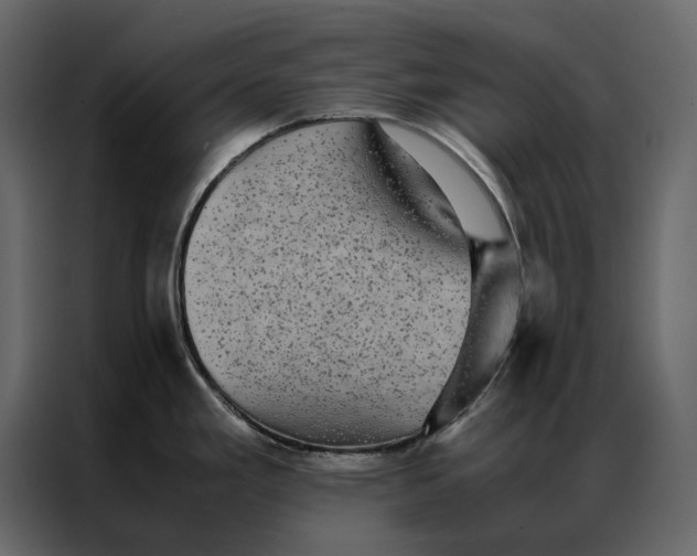 X0000086891293200705071215