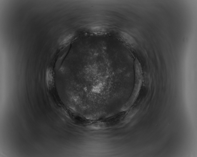 X0000086891298200705071214