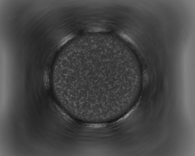 X0000086891305200705071214