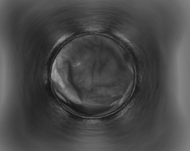 X0000086891306200705071214