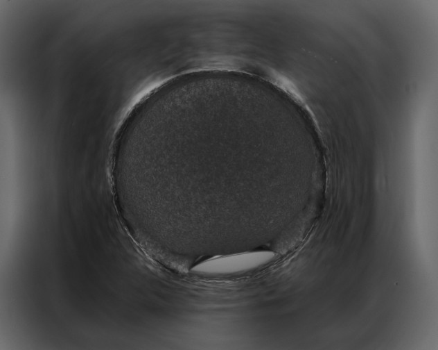 X0000086891312200705071214