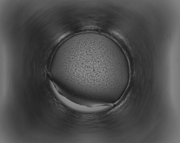 X0000086891313200705071214