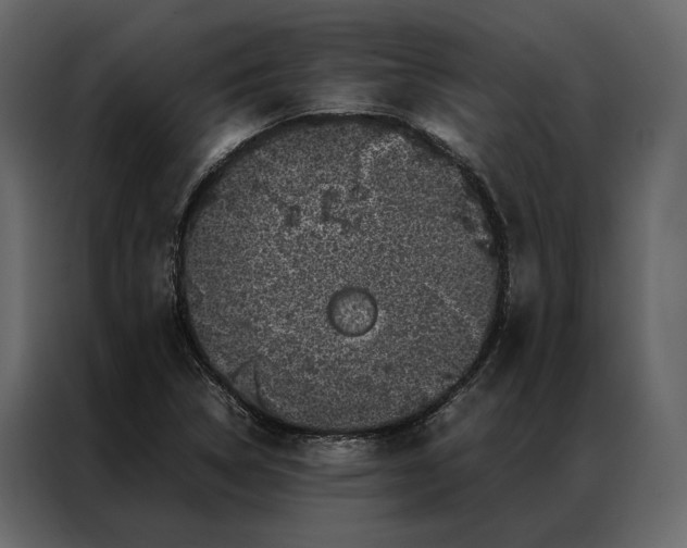 X0000086891314200705071214