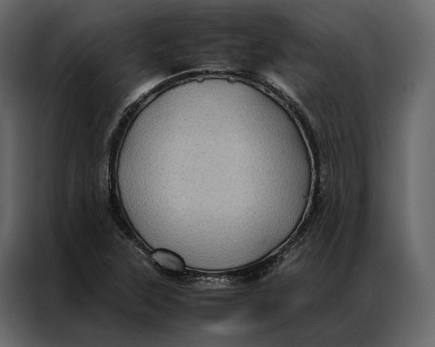 X0000086891315200705071215