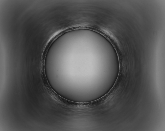 X0000086891316200705071215