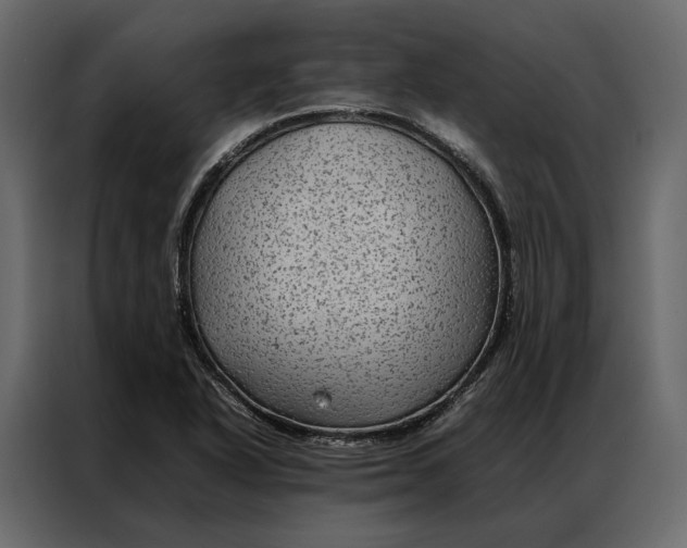 X0000086891318200705071215