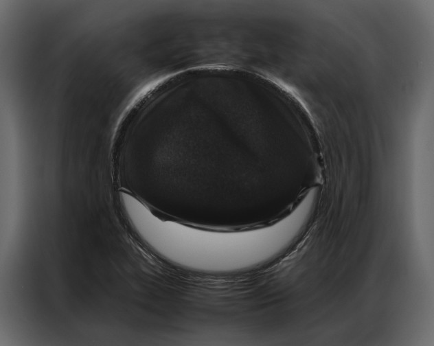 X0000086891319200705071215