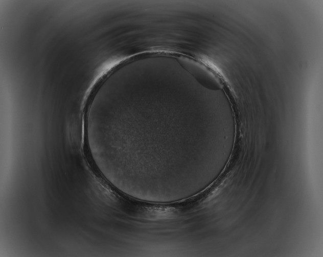 X0000086891323200705071215