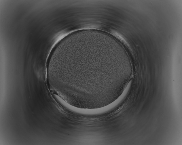 X0000086891324200705071215