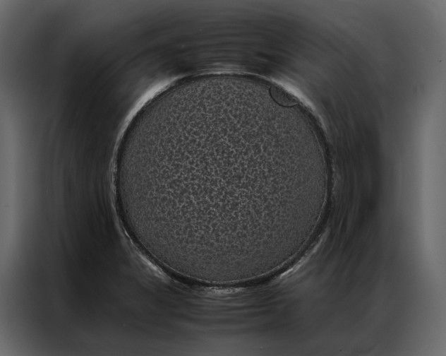 X0000086891325200705071215