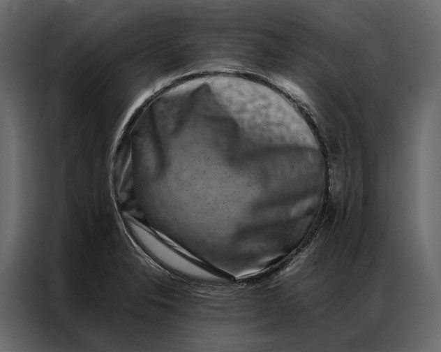 X0000086891326200705071215