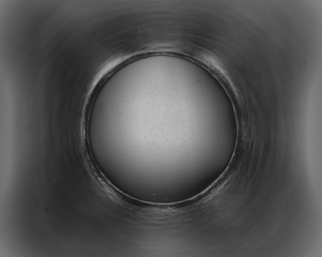 X0000086891328200705071215