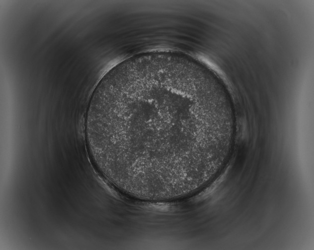 X0000086891329200705071215