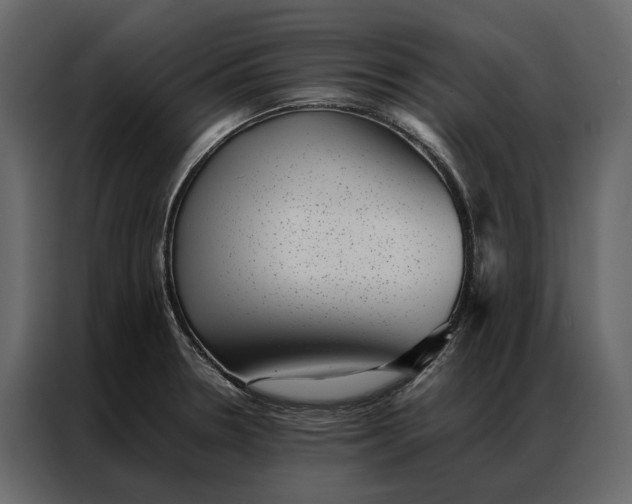 X0000086891330200705071215