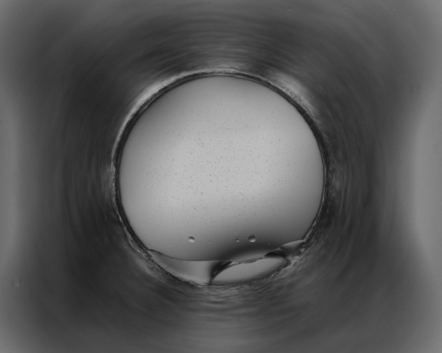 X0000086891332200705071215