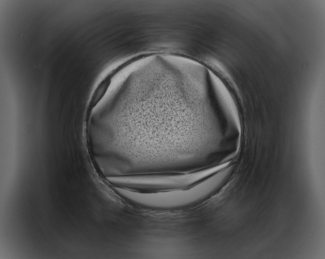 X0000086891336200705071215