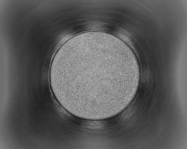 X0000086891338200705071215