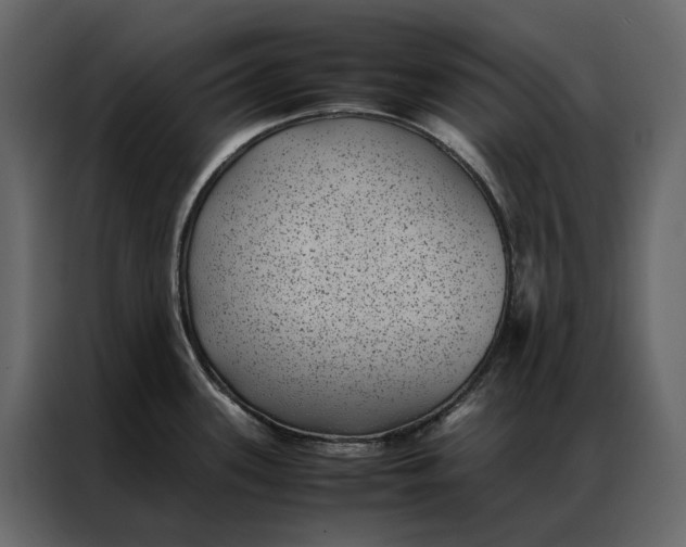 X0000086891339200705071215