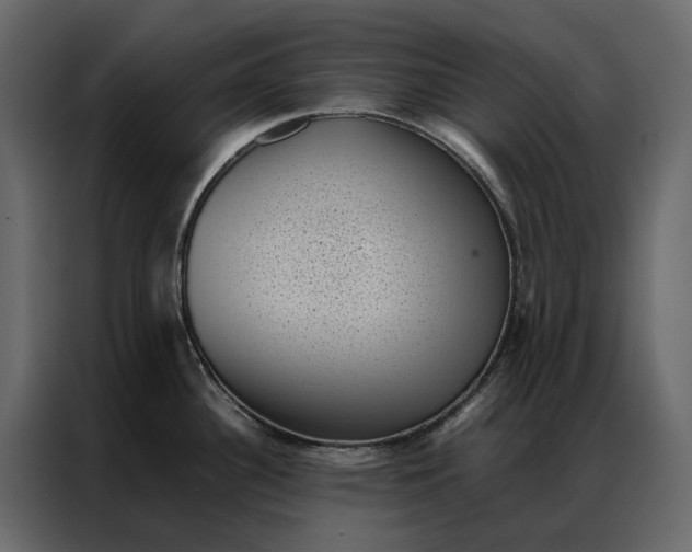 X0000086891340200705071215