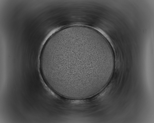 X0000086891341200705071215