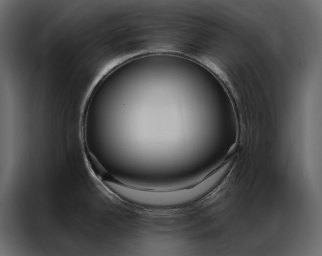 X0000086891342200705071215