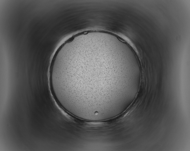 X0000086891343200705071215