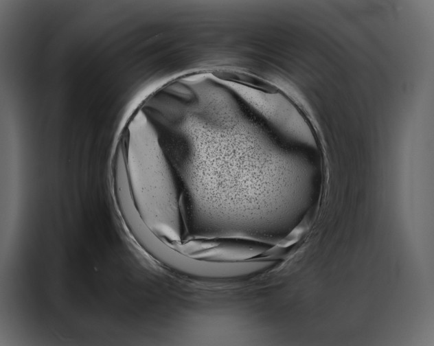 X0000086891344200705071215