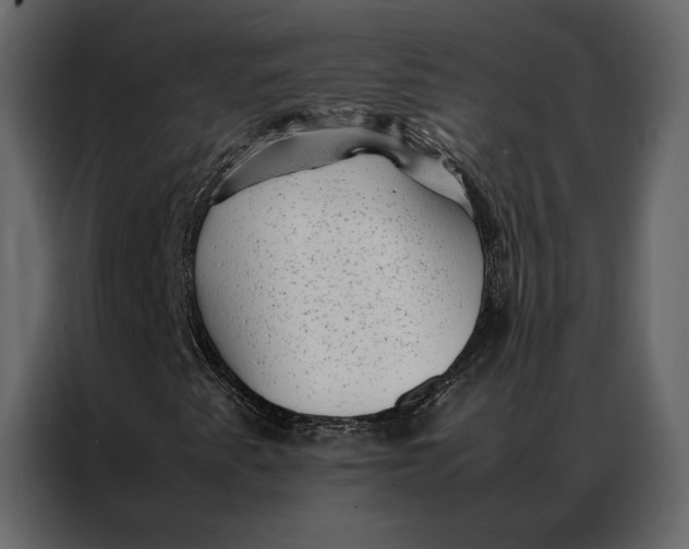 X0000086891345200705071214