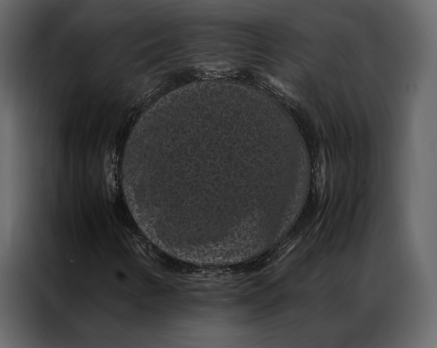 X0000086891346200705071214