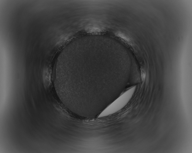 X0000086891348200705071214