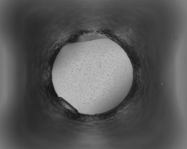 X0000086891349200705071214