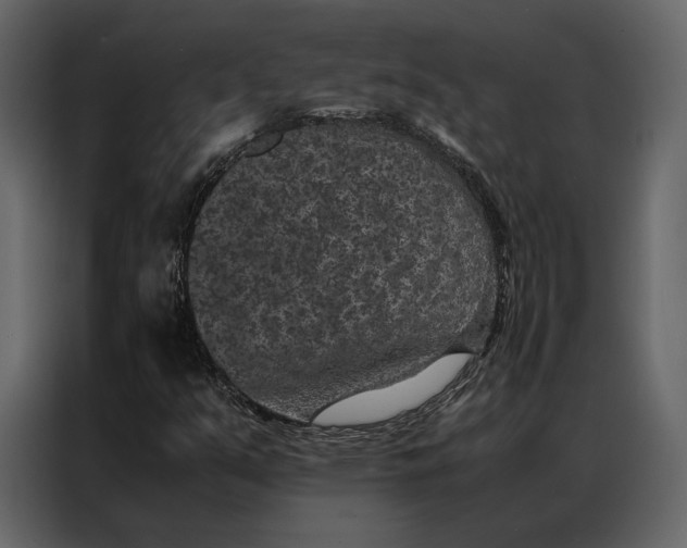 X0000086891351200705071214