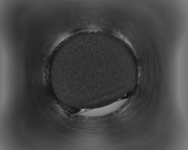 X0000086891352200705071214