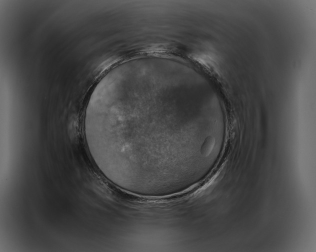 X0000086891353200705071214