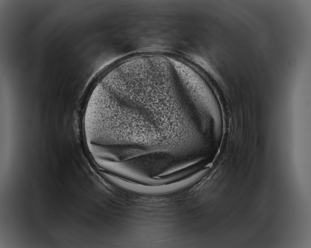 X0000086891356200705071214