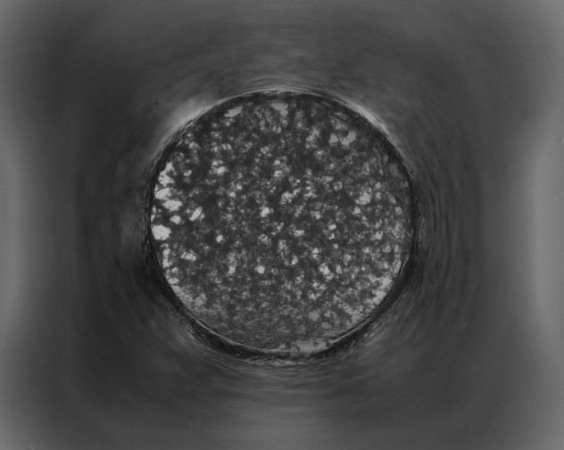 X0000086891359200705071214