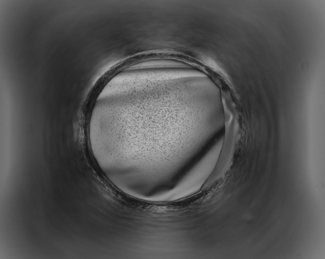 X0000086891360200705071214