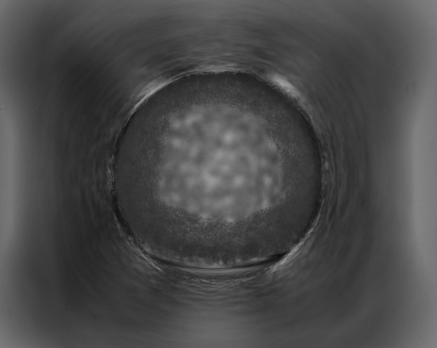 X0000086891361200705071214