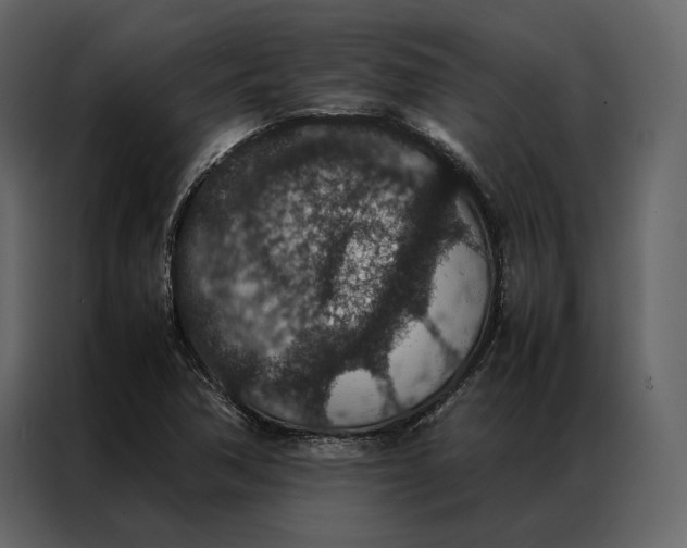 X0000086891362200705071214