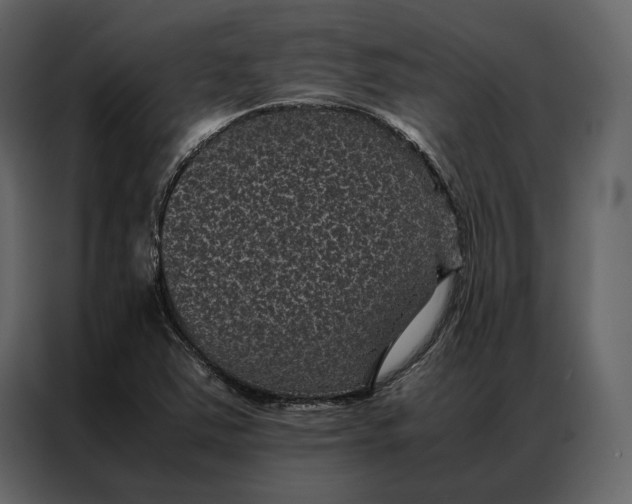 X0000086891363200705071214