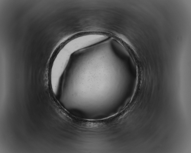 X0000086891364200705071214