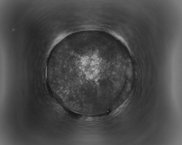 X0000086891365200705071214