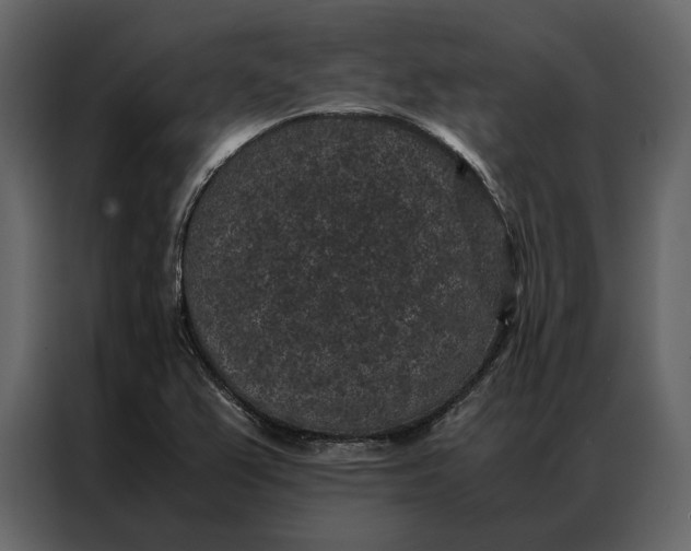 X0000086891367200705071214